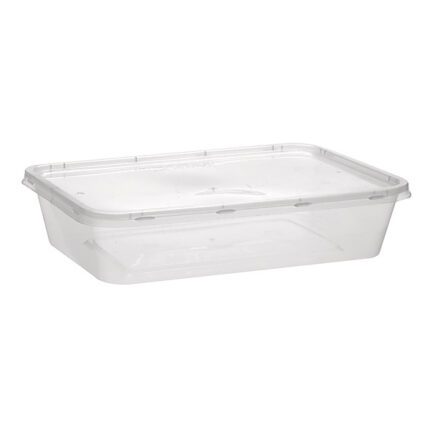 Disposable Plastic Container Rectangle 750 ML Including Lids