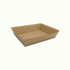 BIOBOARD SNACK TRAY 3 - 240-BOX