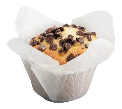 Cafe Style White Lotus Muffin Cases
